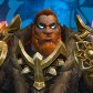 Wulfguard