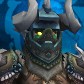 Niteelfdruid avatar