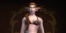 Druidchief's icon