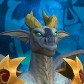 Meradrac