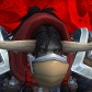 Kaltauren avatar