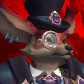 Papaheal avatar