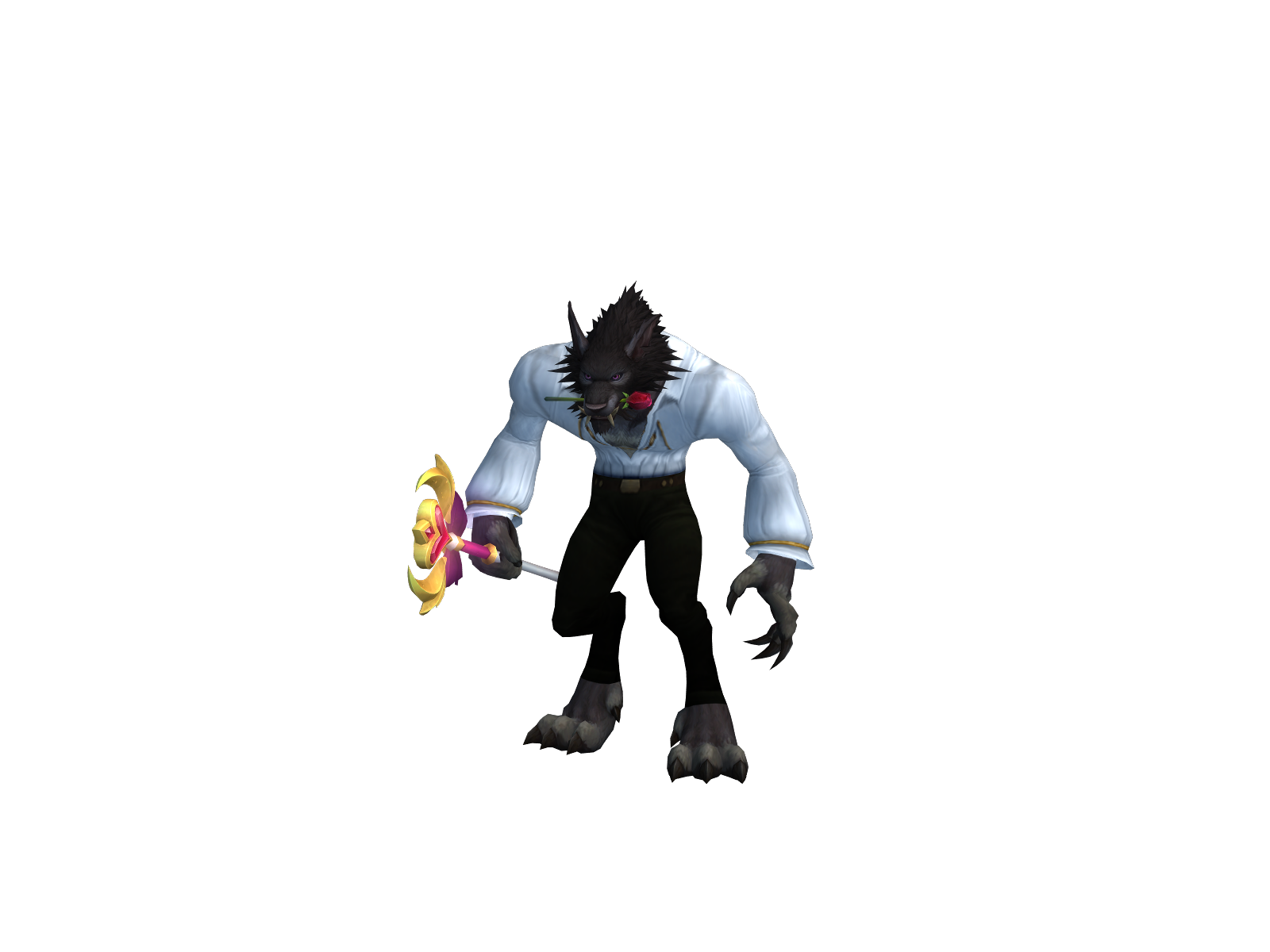 Fi