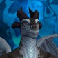 Nyrall avatar