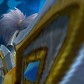 Squaids avatar