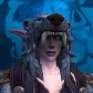 Chapydruid