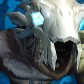 Wildpaws avatar