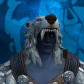 Snowyydruid