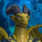 Hammerdrac avatar