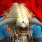 Stormfingers avatar