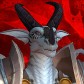 Dracabed