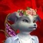 Meykah avatar