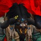 Vojo avatar