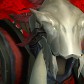 Ratatösk avatar