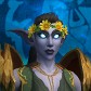 Druidllama