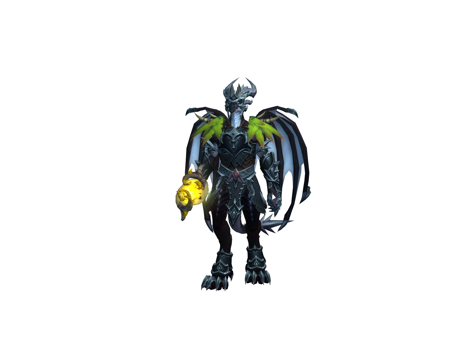 Maticodraco