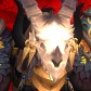 Tiptoesdruid avatar