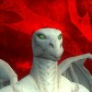 Dracaryspapi