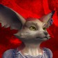 Zorrodecarga avatar