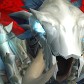 Dibadmojo avatar