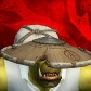 Windsweëper avatar