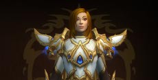 Velguards's icon