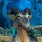 Nohu