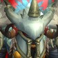 Thinwarrior