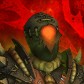 Rlil avatar