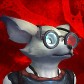 Kyley avatar