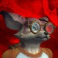 Xugek