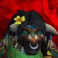 Megcherie