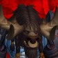 Agresh-wyrmrest-accord
