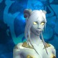 Sehmet avatar