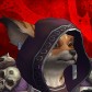 Kitsmoone avatar