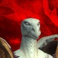Heckindragon avatar