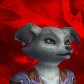 Stipbank avatar
