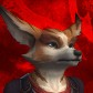 Hoolirocket avatar