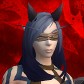Vandrelari avatar