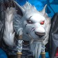 Drakkarius