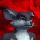 Sefikura avatar