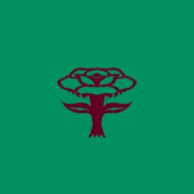 Rngplz's guild emblem