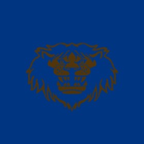 Sorcforce's guild emblem