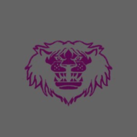 Metaman's guild emblem