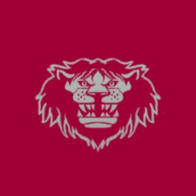 Rocketracoon's guild emblem