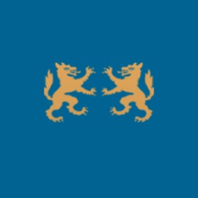Shinigamí's guild emblem