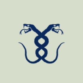 Balesio's guild emblem