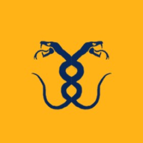 Symilar's guild emblem