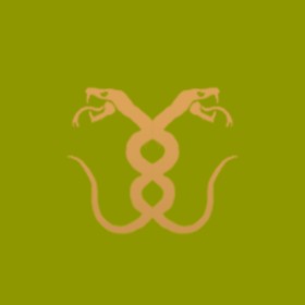 Riyan's guild emblem