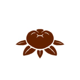 Plexxi's guild emblem